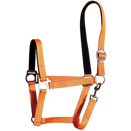 Harry's Horse Halster padded Harry's Horse Halster padded