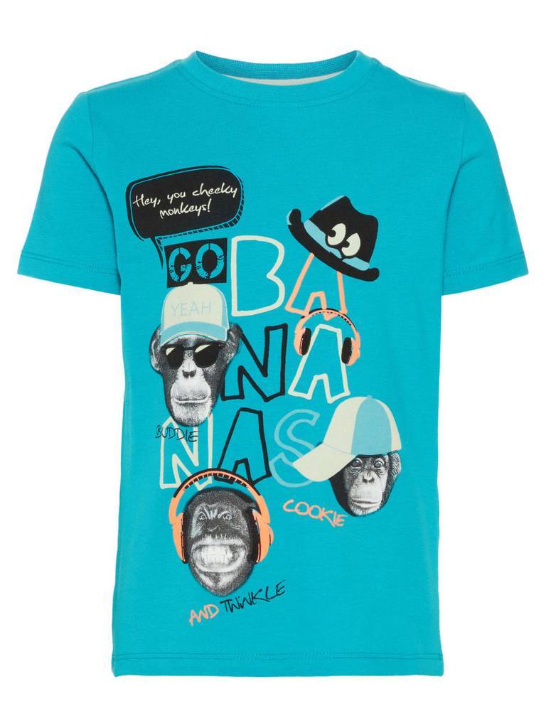Name It Name It T-shirt Saku camp lake blue