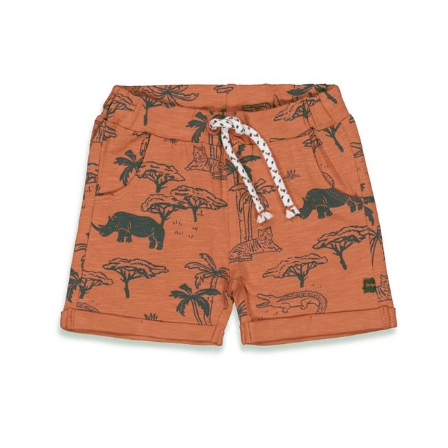 Feetje jongens Short AOP Brique  - Wild One