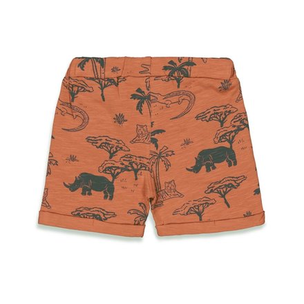 Feetje jongens Short AOP Brique - Wild One