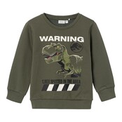 Name It mini jongens trui NAT JURASSIC Beetle Regular Fit