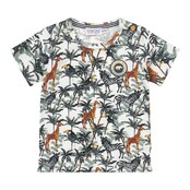 Dirkje jongens T-shirt Multi colour - R-JUNGLE