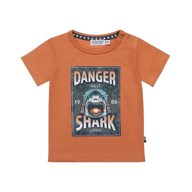 Dirkje jongens T-shirt Faded orange - R-ISLAND CREW