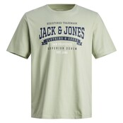 Jack&Jones jongens T-shirt LOGO Desert Sage Standard Fit