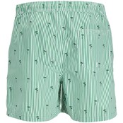 Jack&Jones jongens zwemshort FIJI SMALL STRIPES Green Bee Regular Fit