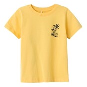 Name It mini jongens T-shirt FOLE Yarrow Regular Fit