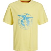 Jack&Jones jongens T-Shirt CSC GRADIENT Lemon Verbena Loose Fit