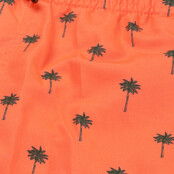 Shiwi jongens zwemshort shiwi scratch palm neon orange