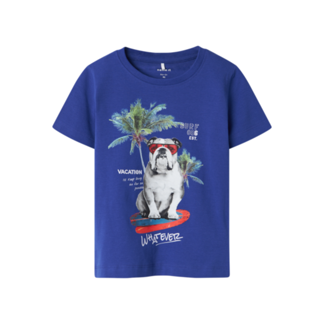 Name It mini jongens T-shirt FELO Clematis Blue