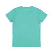 Dirkje T-shirt Aqua green Limited Edition
