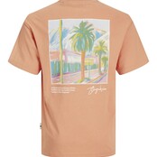 Jack&Jones jongens T-Shirt ARUBA LANDSCAPE Canyon Sunset VOLUME Volume Fit