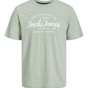 Jack&Jones jongens T-shirt FOREST Desert Sage MELANGE Regular Fit