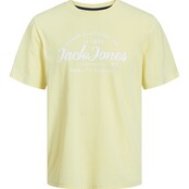 Jack&Jones jongens T-shirt FOREST French Vanilla MELANGE Regular Fit