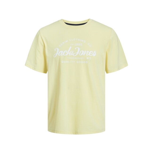 Jack&Jones jongens T-shirt FOREST French Vanilla MELANGE Regular Fit