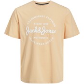 Jack&Jones jongens T-shirt FOREST Apricot Ice MELANGE Regular Fit
