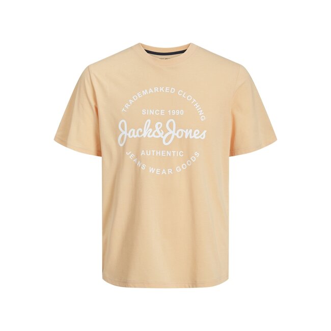 Jack&Jones jongens T-shirt FOREST Apricot Ice MELANGE Regular Fit