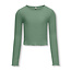ONLY ONLY meisjes kids longsleeve NELLA Hedge Green Stretch Fit