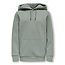 ONLY & SONS ONLY & SONS Jongens trui CERES Castor Gray Regular Fit