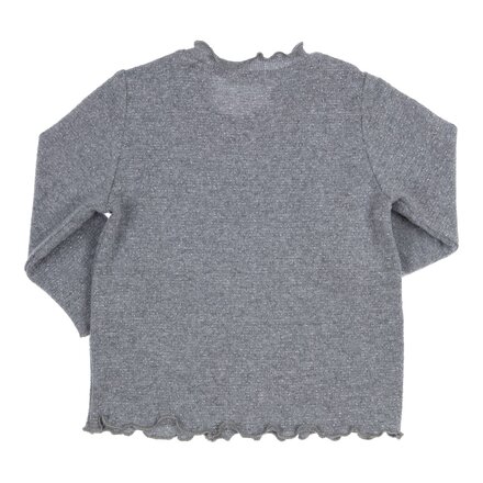 GYMP meisjes Longsleeve Lucia Grey
