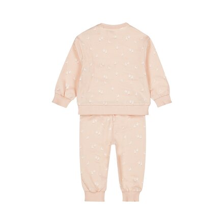 Dirkje meisjes 2-delig setje Light pink - 01 Girls lovely