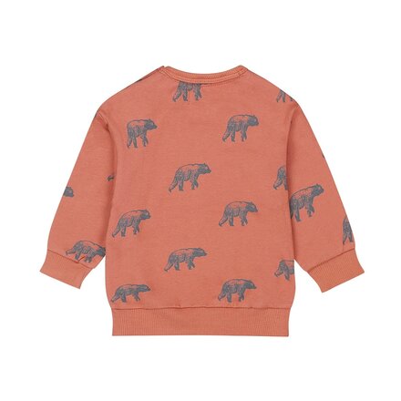 Dirkje jongens trui with crew neck Rust - 03 Boys wildland