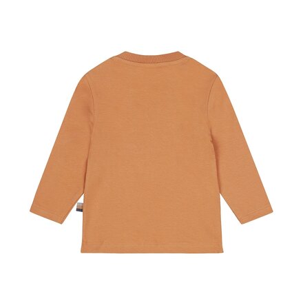 Dirkje jongens longsleeve Faded cognac - 05 Boys woodland