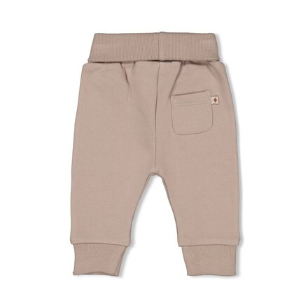 Feetje jongens Broek Grijs - Wild World