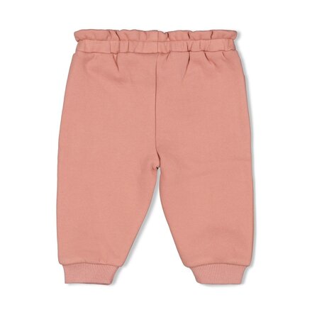 Feetje meisjes Broek Mauve - Woodland Bloom