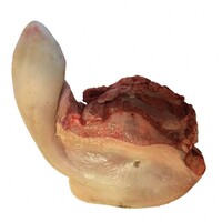 GRASGEVOERD RUNDERTONG