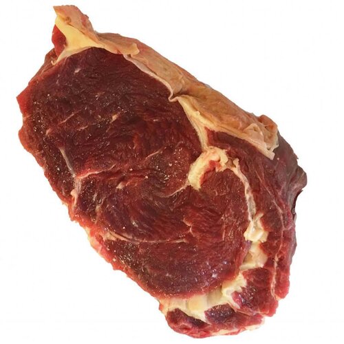  Ribeye HF 