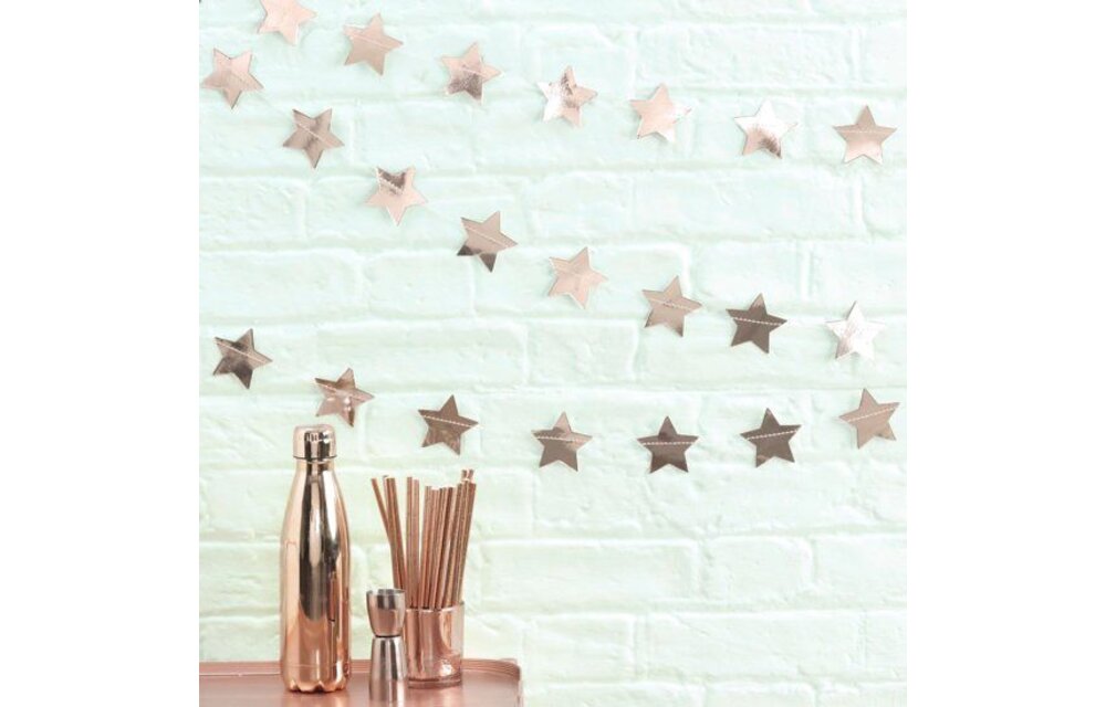 Slinger met rose gouden sterren | 5 meter