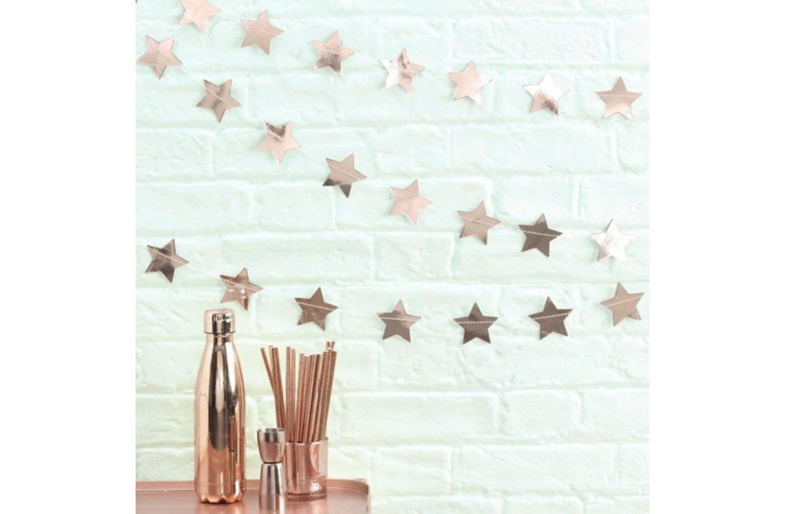 Slinger met rose gouden sterren | 5 meter