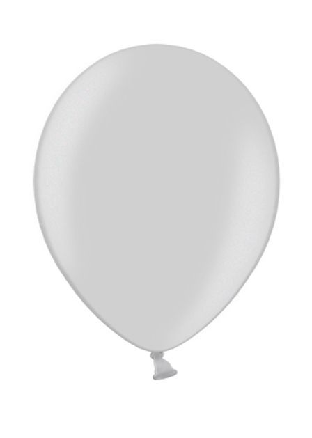 Ballonnen Metallic Zilver