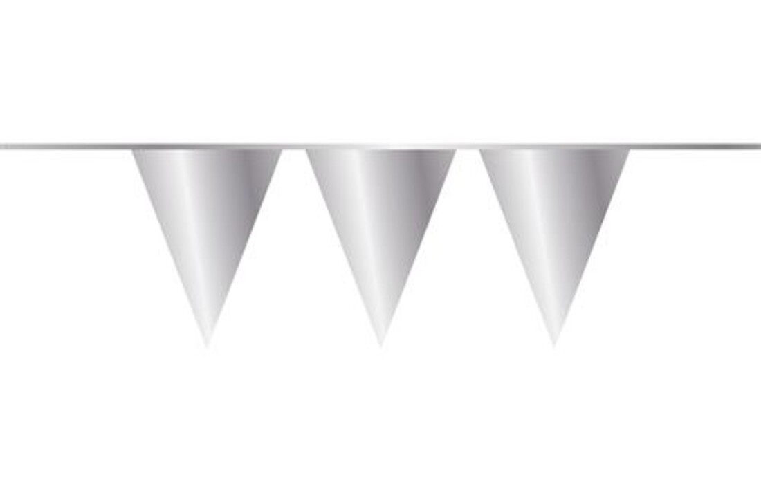 Vlaggenlijn zilver - 10 meter