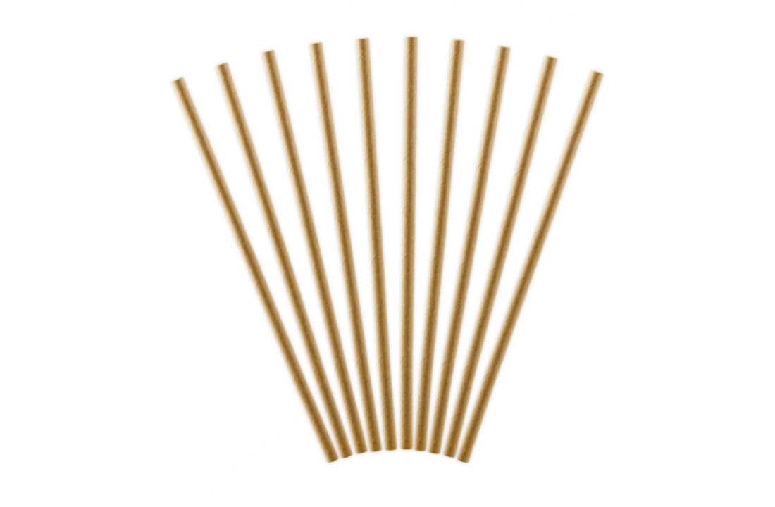 Kraft papieren rietjes - 10 stuks