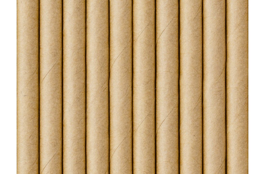 Kraft papieren rietjes - 10 stuks