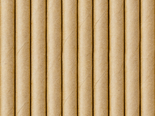 Kraft papieren rietjes - 10 stuks