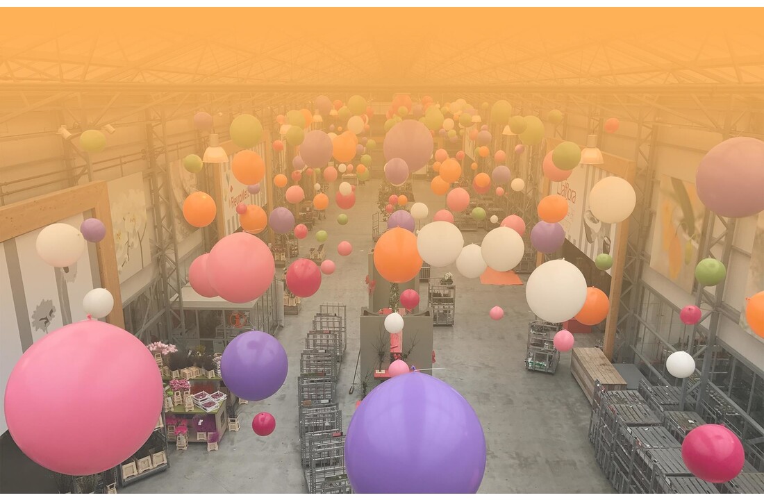 Reuzeballon Doorzichtig 100 centimeter