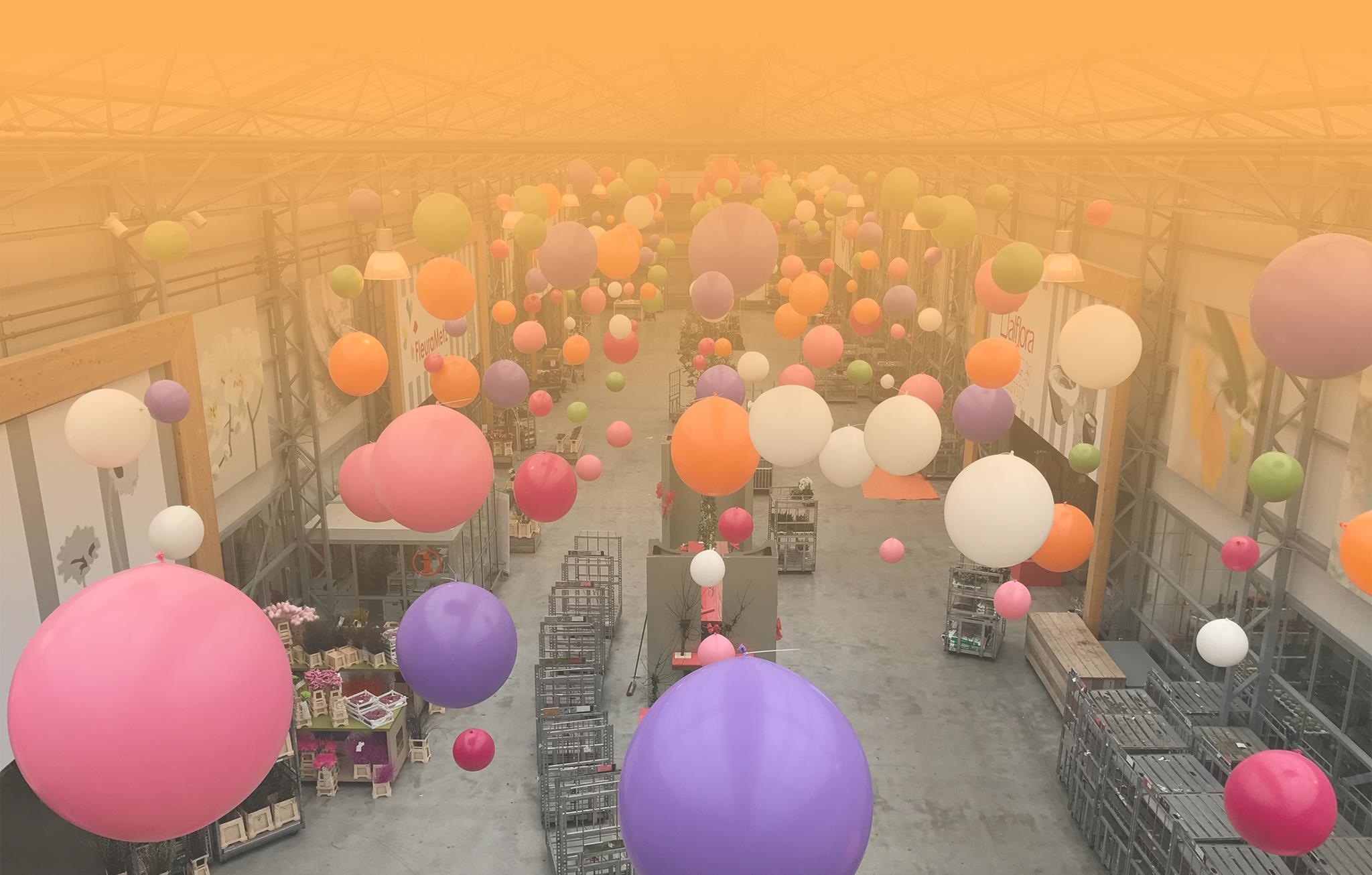 Reuzeballon oranje/orange 100 centimeter