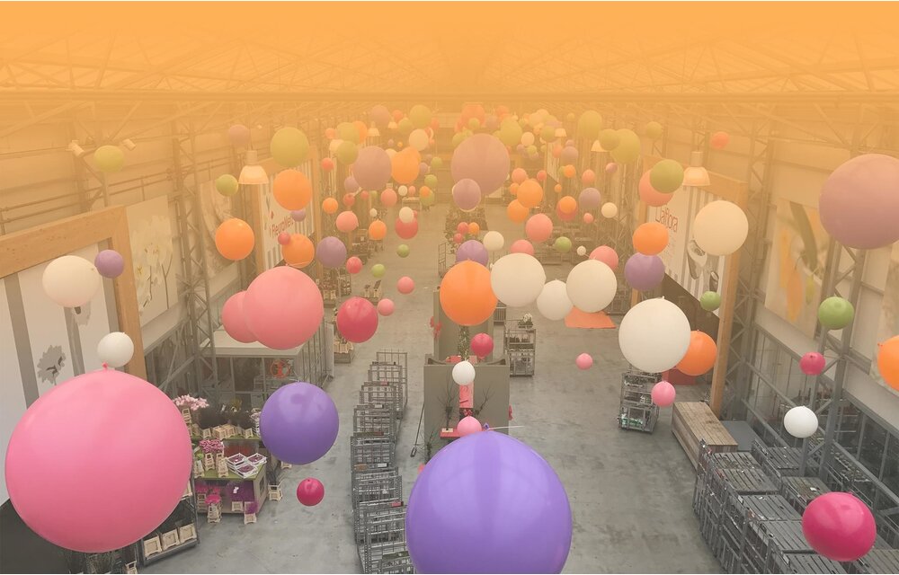 Reuzeballon lavende/paars 100 centimeter