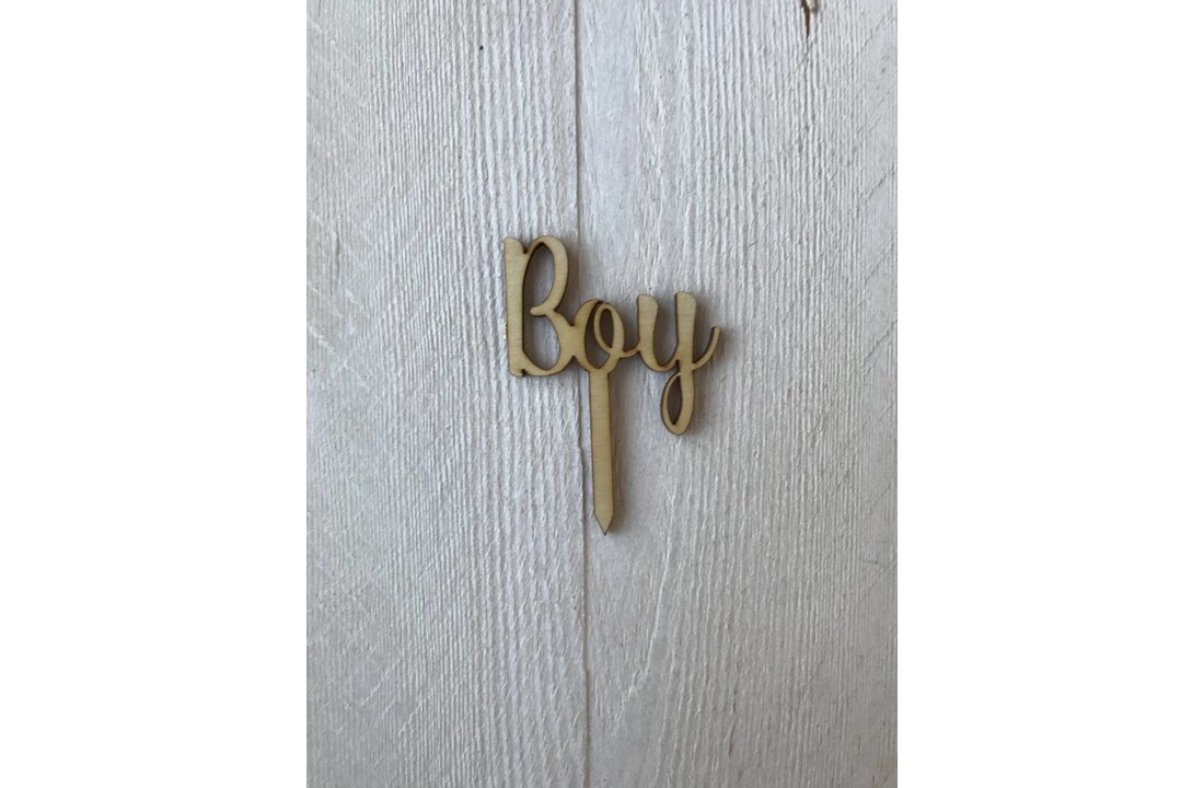 Minitoppers boy & girl - 4 stuks - genderreveal