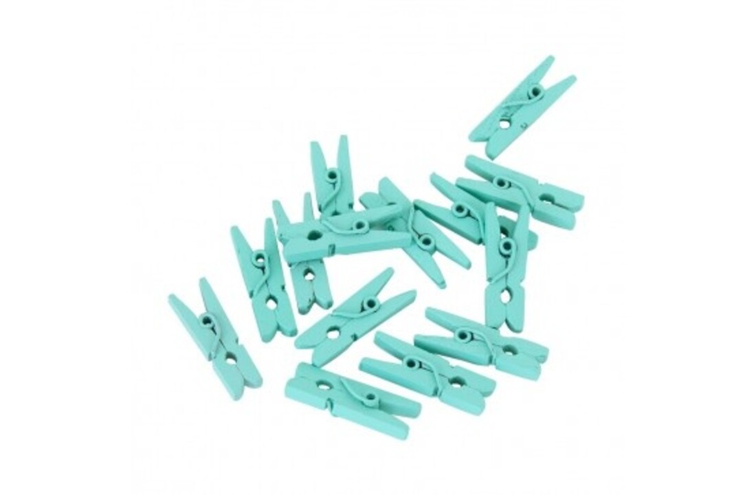 Mini houten knijpers mintgroen | 24 stuks