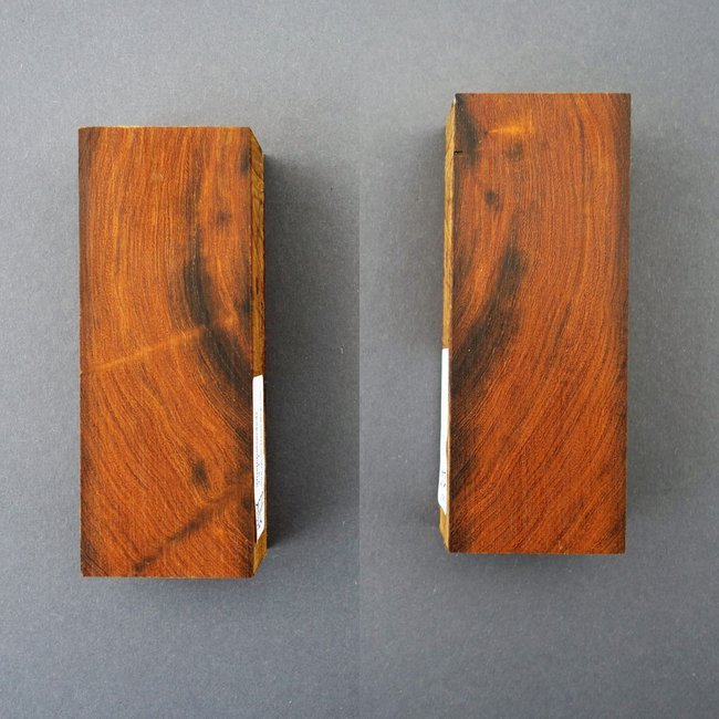 Desert Ironwood - block, X-Cut