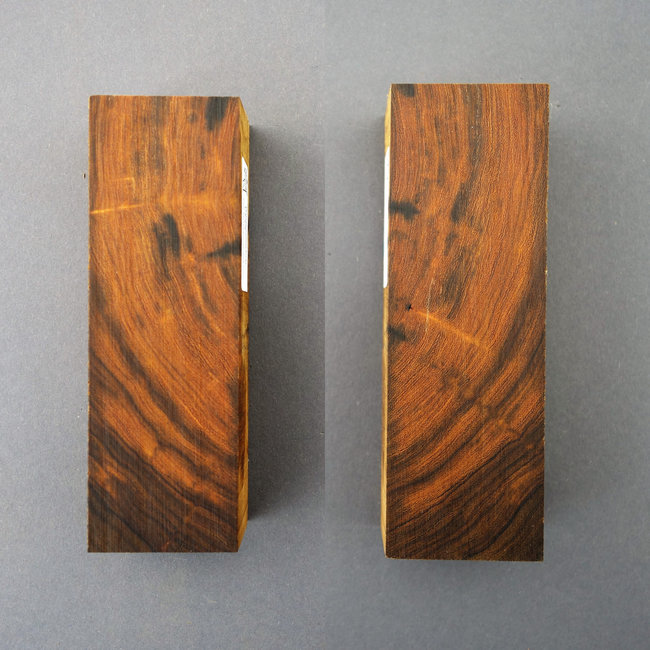 Desert Ironwood - block, X-Cut, XXL