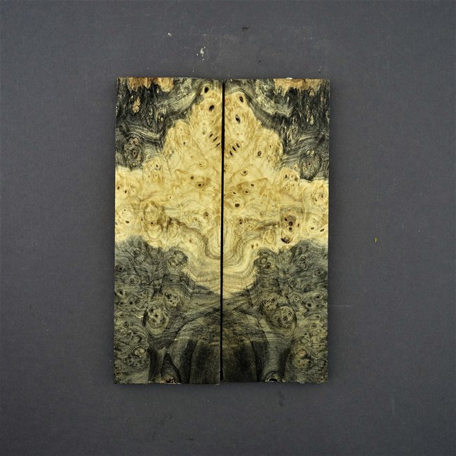 Buckeye Burl - pairs of scales for sayas