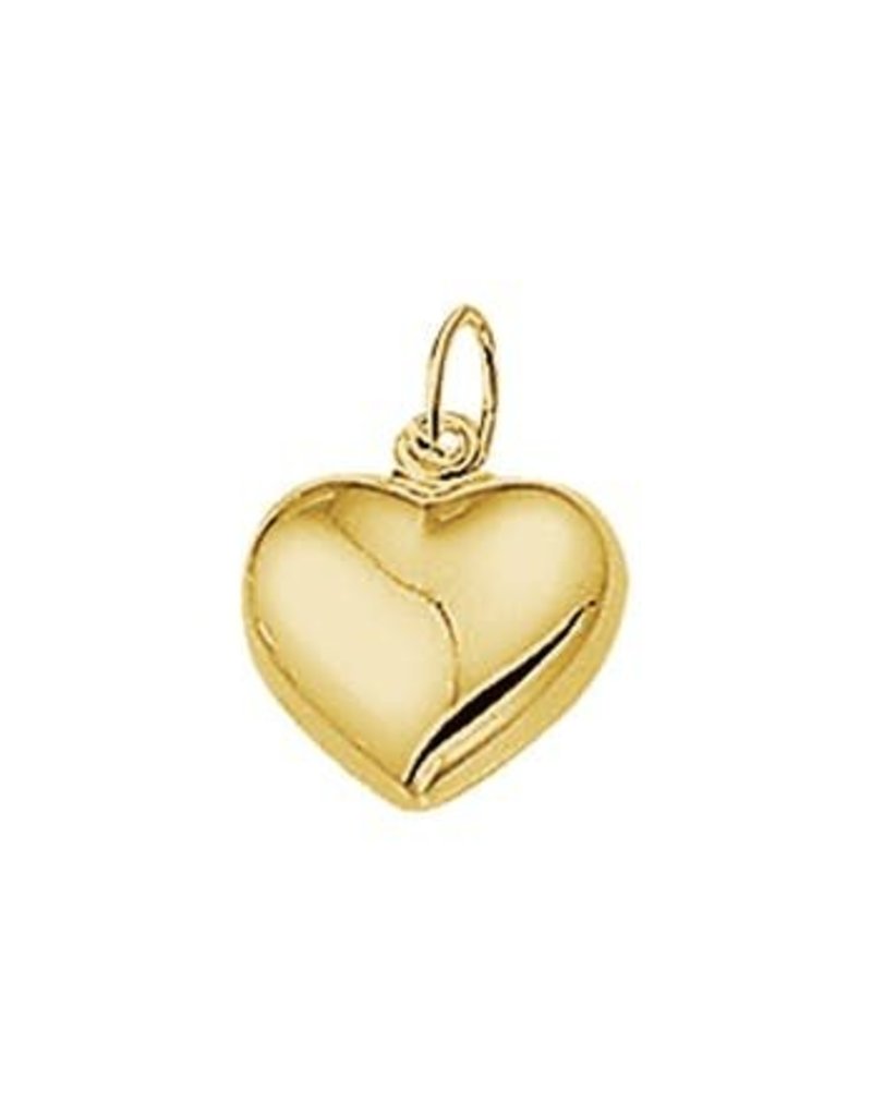 Blinckers Jewelry Huiscollectie 40.18473 bedel hart 14krt goud