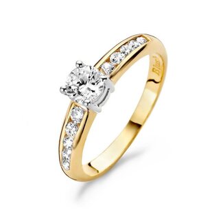 Blush Blush Ring 1154BZI/56 14k Geelgoud gezet met Briljant geslepen Zirkonia Maat 56