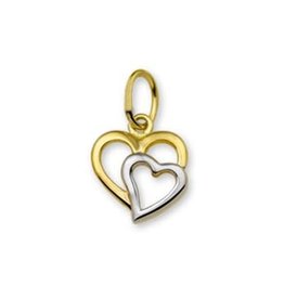 Blinckers Jewelry Huiscollectie 40.18476 Hanger dubbel hart Goud/Witgoud