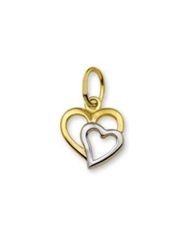 Blinckers Jewelry Huiscollectie 40.18476 Hanger dubbel hart Goud/Witgoud