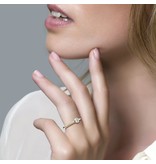 Blush Blush Ring 1124BZI/54 14kr Geelgoud Bicolor gezet met Briljant geslepen Zirkonia Maat 54